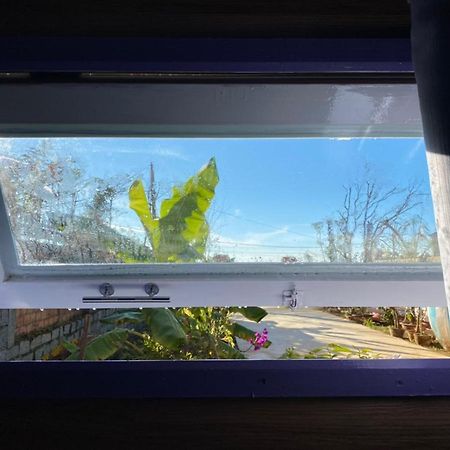 Lam Vien Garden Villa - Homestay ダラット エクステリア 写真